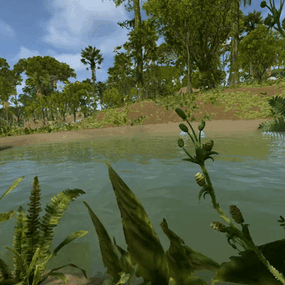 More information about "Jungle swamps +"