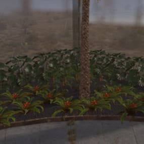 More information about "Map Decor"