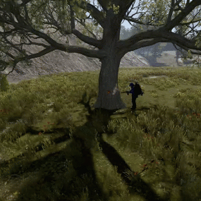 More information about "World Buffs"