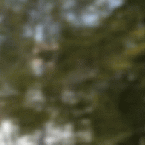 More information about "Santa's Villa"