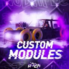 More information about "Custom Modules"