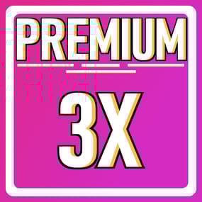 More information about "Premium 3x Server"