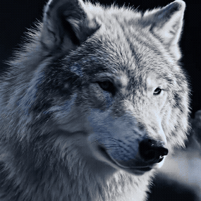 More information about "Beast Master - (Aura & Effect Update)"