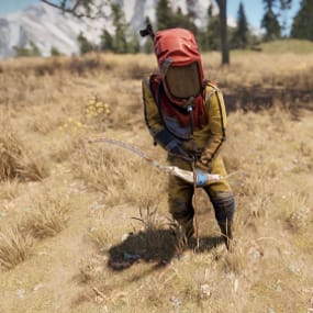 More information about "Chicken Bow"