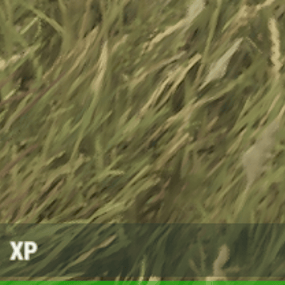 More information about "XP Bar for skills"