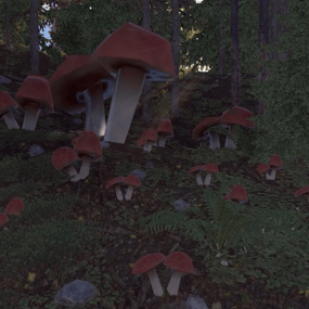 More information about "Mushroom Event"