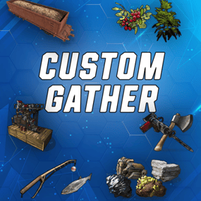 More information about "Custom Gather"