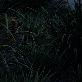 More information about "Beast Master - Gen 2 Update"