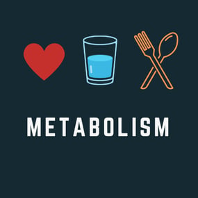 More information about "Metabolism"