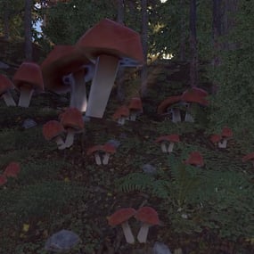 More information about "Mushroom Event"