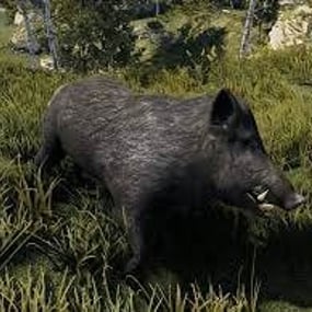 More information about "Instant Animal/NPC Kill"