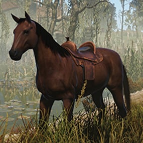 More information about "Npc Horses"