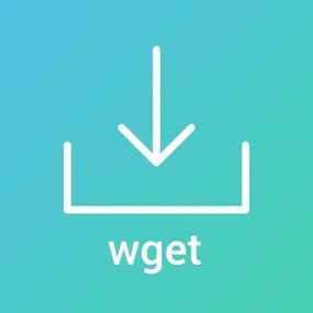 More information about "WGet Command"