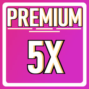 More information about "Premium 5x Server"