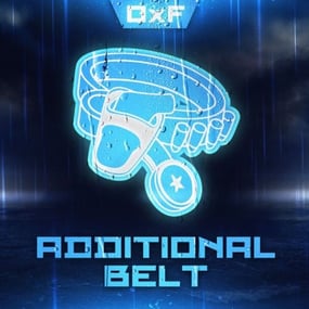 More information about "Additional Belt"