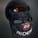 snetzer
