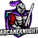 Arcanekniight