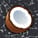 Space Coconut