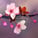 Cherri