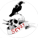 Sevay