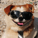 thefordguy21