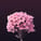 leet