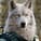 SteppenWolf