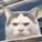 xShadowBroker92x