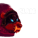 Capt Clamslam