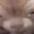 Woorzi_