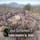 More information about "Rebel Settlement 2 | Custom Monument By Shemov"