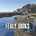 More information about "Ferry Docks"