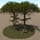 More information about "Zipline Treehouses"