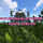 More information about "210 Raidable Bases Full Pack & Loot Tables + Config + Profiles (Easy to Nightmare)"