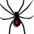 BlackWidow
