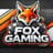 rustfoxgaming