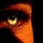 Watcher
