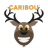 Caribou