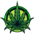 Cannabis