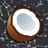 Space Coconut