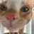 Tomper