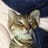 IGF_Nekoike