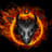 Angry Dragon Gaming