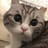 Toshik