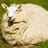SheepRSA
