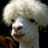 Vexatiousgaming