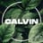 Calvin