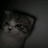 stacks_ot