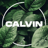 Calvin