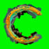 c0ini